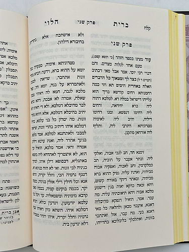 הגדה של פסח - ברית הלוי / לרבינו שלמה הלוי אלקבץ זיע