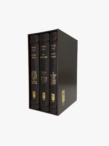 מארז מחזור קורן לר