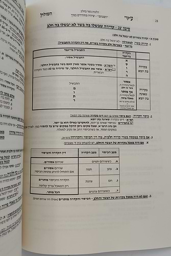 עיקרי השולחן - ושננתם / שיהיו מחודדין בפיך מאת הרב משה כהן שליט