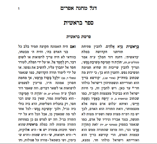 דגל מחנה אפרים - על התורה / אור החיים