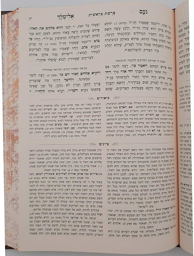 נועם אלימלך המבואר ג' כרכים - פורמט גדול / עוז והדר