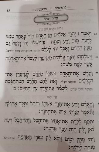 שניים מקרא ואחד תרגום - תורה מאירה ב' כרכים / הרב רונן חזיזה