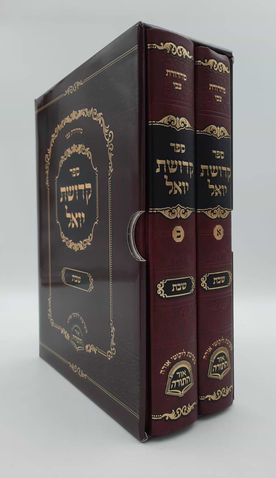 קדושת יואל - שבת ב