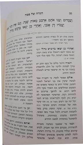 הגדה של פסח - הגה