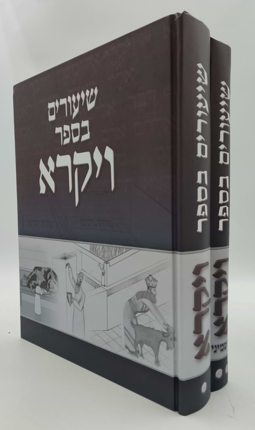 שיעורים בספר ויקרא - סט ב