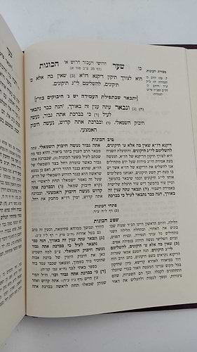  שער הכוונות - עם פירוש טיב הכוונות חלק ויעבור , נפילת אפיים  • סידור הרש