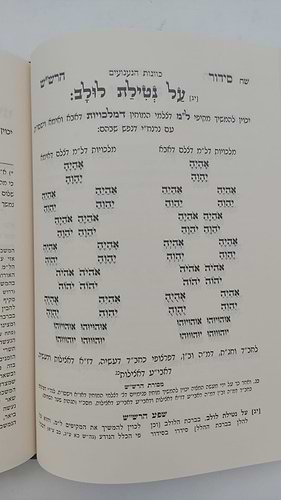  שער הכוונות - עם פירוש טיב הכוונות סוכות • סידור הרש
