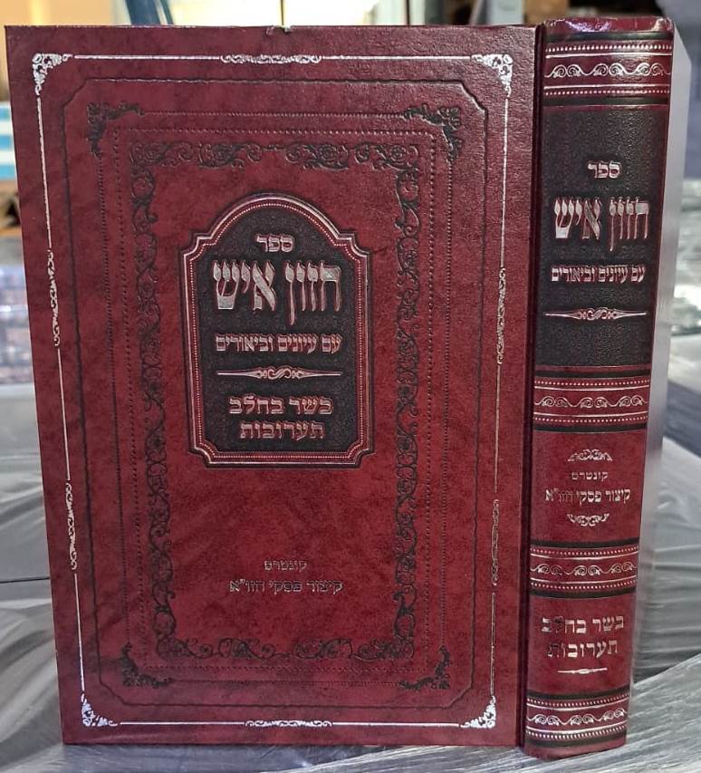 חזון איש - בשר בחלב תערובות / עם עיונים וביאורים