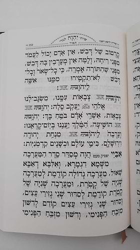 סט מחזורים תפלת רפאל ז' כרכים מהודר דמוי עור