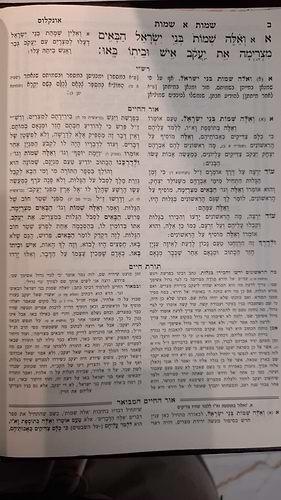 חומש אור החיים עם ביאור משולב ה' כרכים / עוז והדר