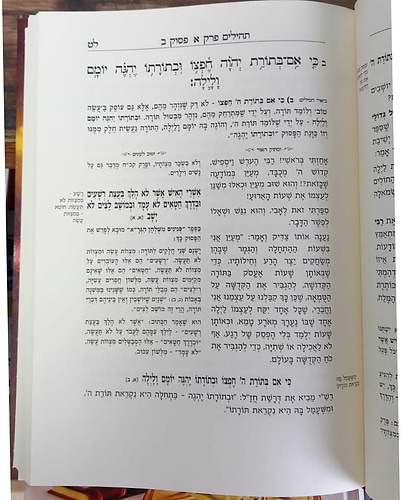 ומתוק האור וטוב לעיניים - על תהילים (פרקים: א'-יז') / הרב שלמה לוונשטיין שליט