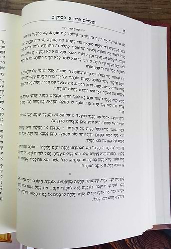 ומתוק האור וטוב לעיניים - על תהילים (פרקים: א'-יז') / הרב שלמה לוונשטיין שליט