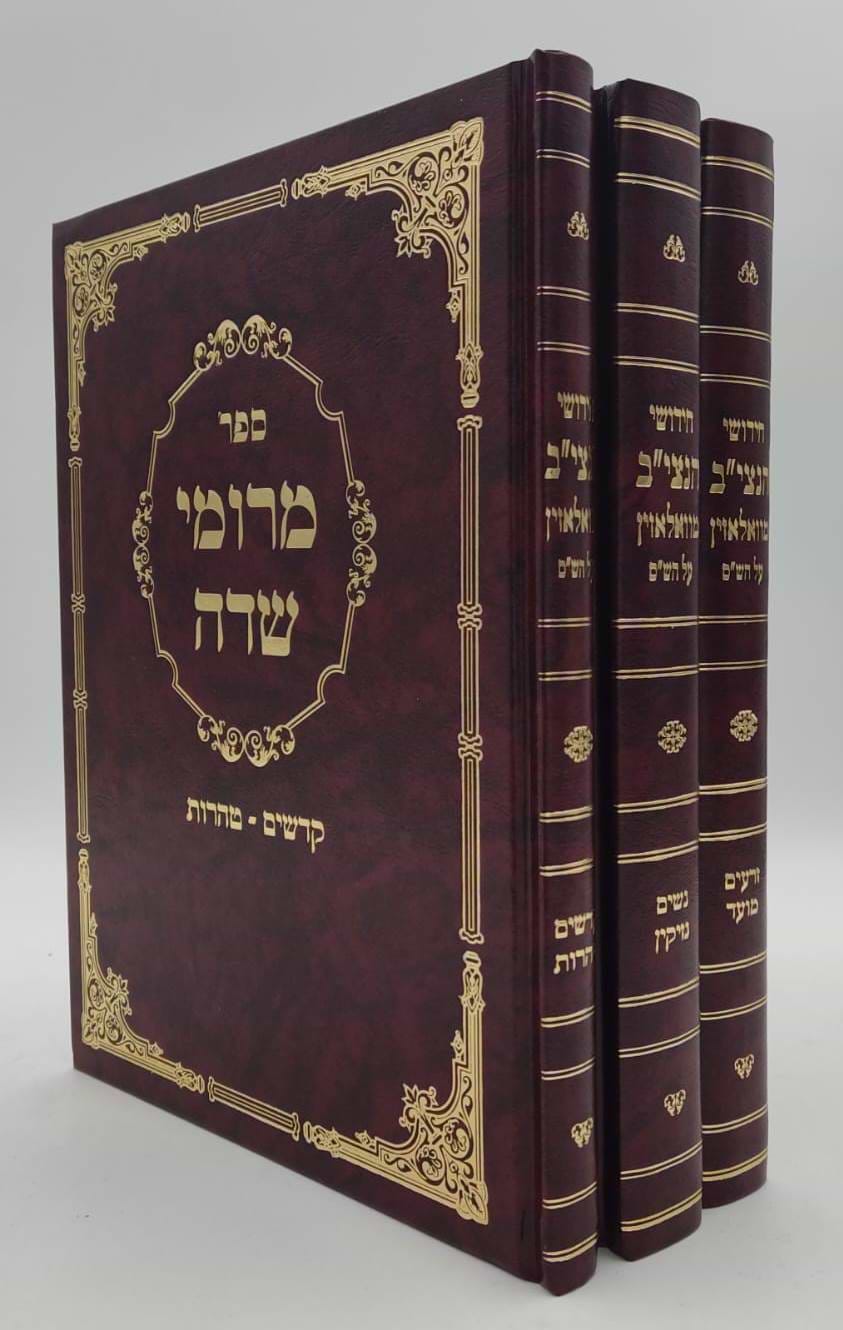 מרומי שדה - חידושי הנצי"ב מוואלוזין על הש"ס ג