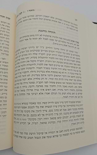 קנין תורה - ביאורים על פרק קנין תורה / הראשל