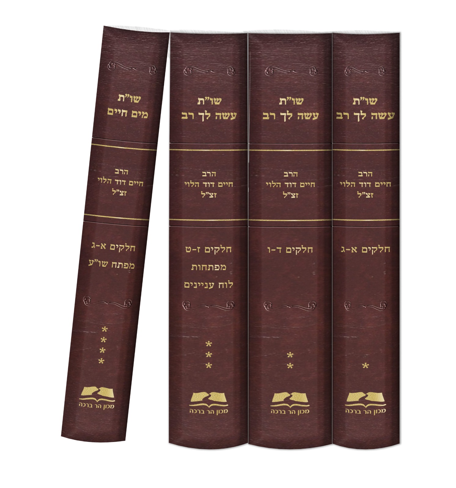שו”ת עשה לך רב • שו”ת מים חיים ד