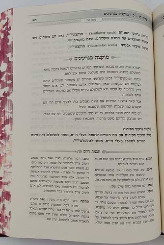 אוצר שבת כהלכתו - חכמת חיים ב' כרכים / הרב חיים זינגער שליט