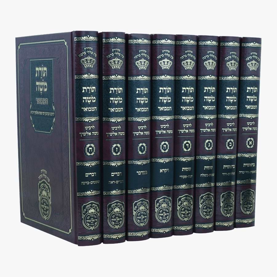 סט תורת משה המבואר על התורה ח