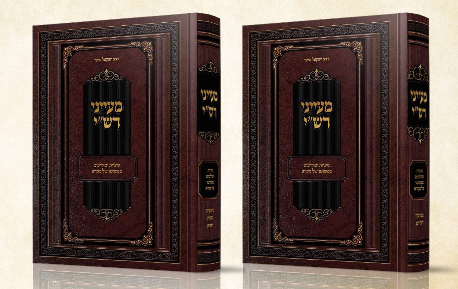 מעייני רש"י - סוגיות ומהלכים בפשוטו של מקרא ב