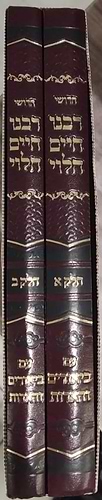 חידושי רבינו חיים הלוי - על הרמב”ם עם ביאורים והארות ב' כרכים