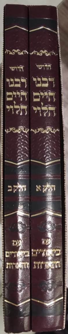 חידושי רבינו חיים הלוי - על הרמב”ם עם ביאורים והארות ב