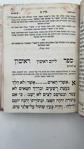 תהילים שירת חיי / הרבנית חגית שירה