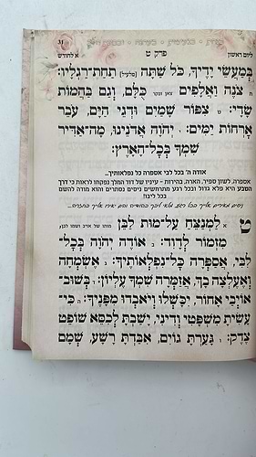 תהילים שירת חיי / הרבנית חגית שירה