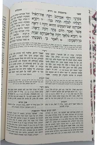 חומש מקראות גדולות המאור החדש גדול ה' כרכים / פורמט גדול