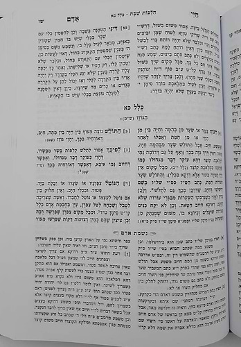 חיי אדם מנוקד - עם נשמת אדם / הוצאת מיר