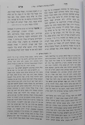 חיי אדם מנוקד - עם נשמת אדם / הוצאת מיר