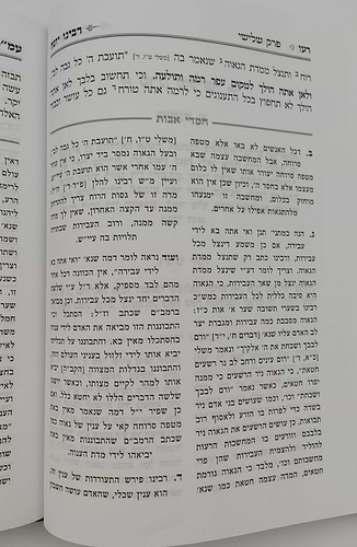 פירוש רבינו יונה על מסכת אבות - עם ביאור חסדי אבות / הרב אהרן דוד גולדברג שליט