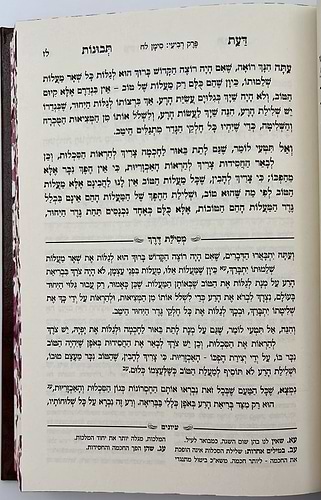 דעת תבונות לרמח