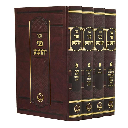 פני יהושע על הש