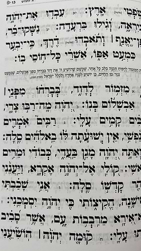 תהילים בינת הלב - בצבע לבן מסגרת זהב / פורמט בינוני