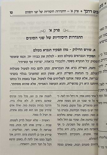 קונטרס בים דרכך - דרכי הנפשות לפי שרשם רחל ולאה / הרב י.מ מורגנשטרן