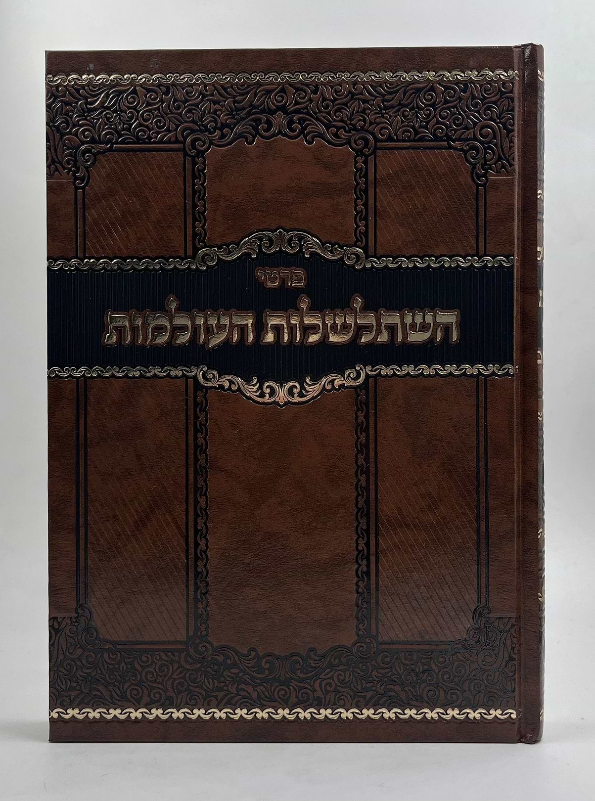 פרטי השתלשלות העולמות 
