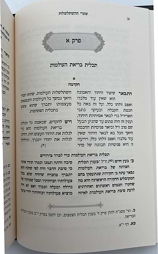 שערי ההשתלשלות / רבי אהרן הלוי מסטראשעלע זצוק