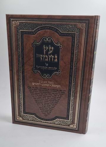 עץ נחמד - על שמות הקודש / ביאור שם ע