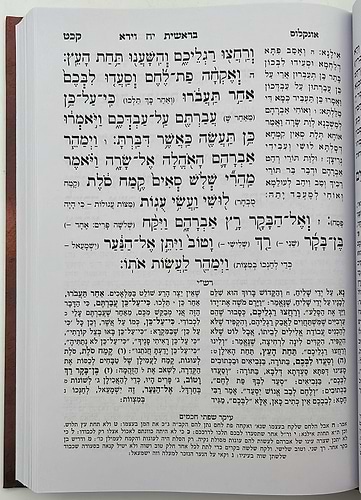 חמשה חומשי תורה - תורה מאירה ה' כרכים / הרב רונן חזיזה