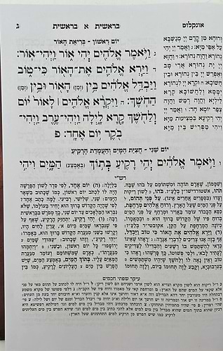 חמשה חומשי תורה - תורה מאירה ה' כרכים / הרב רונן חזיזה