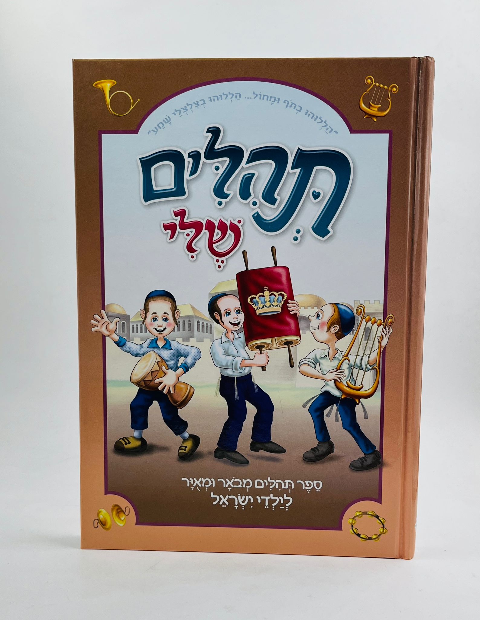 התהילים שלי / ספר תהילים מבואר ומאויר לילדי ישראל