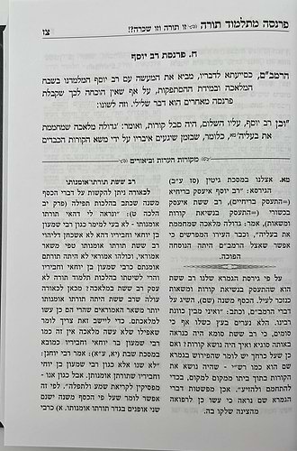 פרנסה מתלמוד תורה כרך א' / רבי אברהם שיטרית שליט