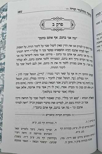 פרנסה מתלמוד תורה כרך ג' / רבי אברהם שיטרית שליט