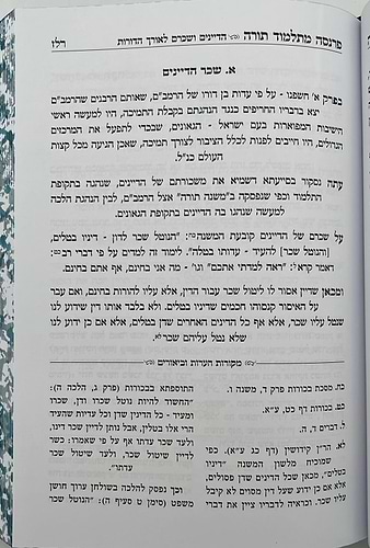 פרנסה מתלמוד תורה כרך ג' / רבי אברהם שיטרית שליט
