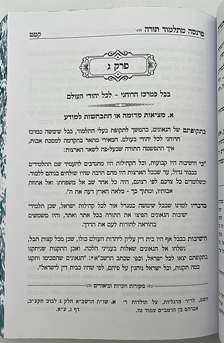 פרנסה מתלמוד תורה כרך ג' / רבי אברהם שיטרית שליט