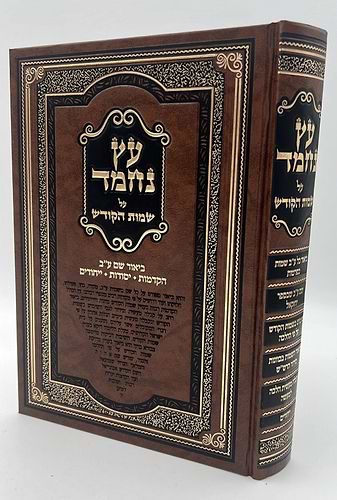 עץ נחמד - על שמות הקודש / ביאור שם ע
