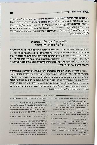 מטעמי תורת חיים על התורה - סודות התורה שנה ראשונה / הרב חיים לנגר שליט