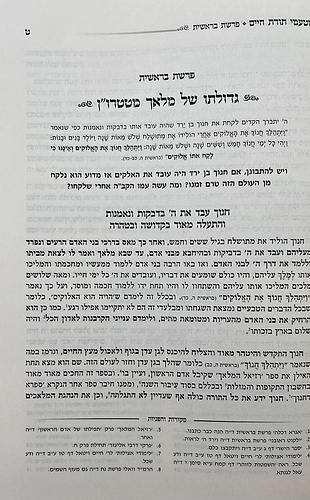מטעמי תורת חיים על התורה - סודות התורה שנה ראשונה / הרב חיים לנגר שליט