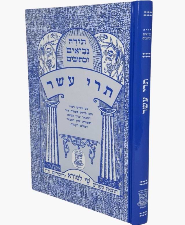 נ"ך מצודות לתלמידים - תרי עשר / שי למורא