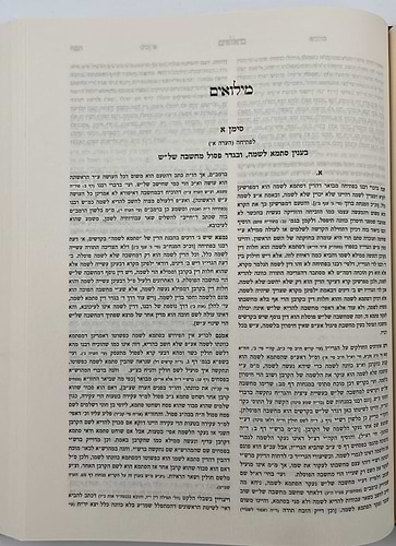 קרן אורה על הש