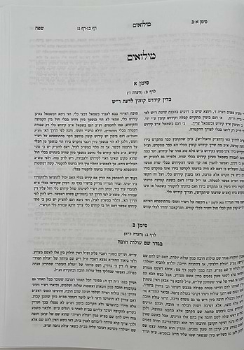 קרן אורה על הש